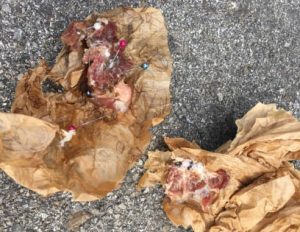 comida alfileres perros